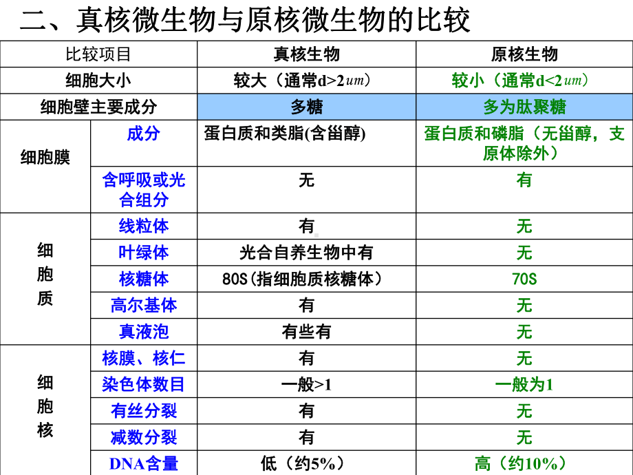 微生物学周德庆真核生物课件.pptx_第3页