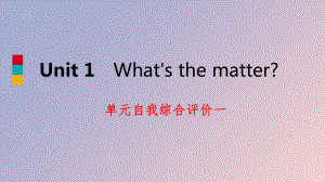 八年级英语下册Unit1What’sthematter自我综合评价一练习课件新人教新目标.pptx（纯ppt,可能不含音视频素材）