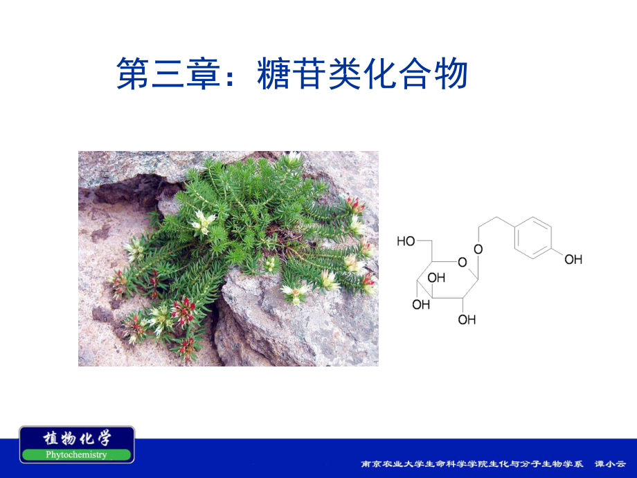 第三章-糖苷类化合物课件.ppt_第1页