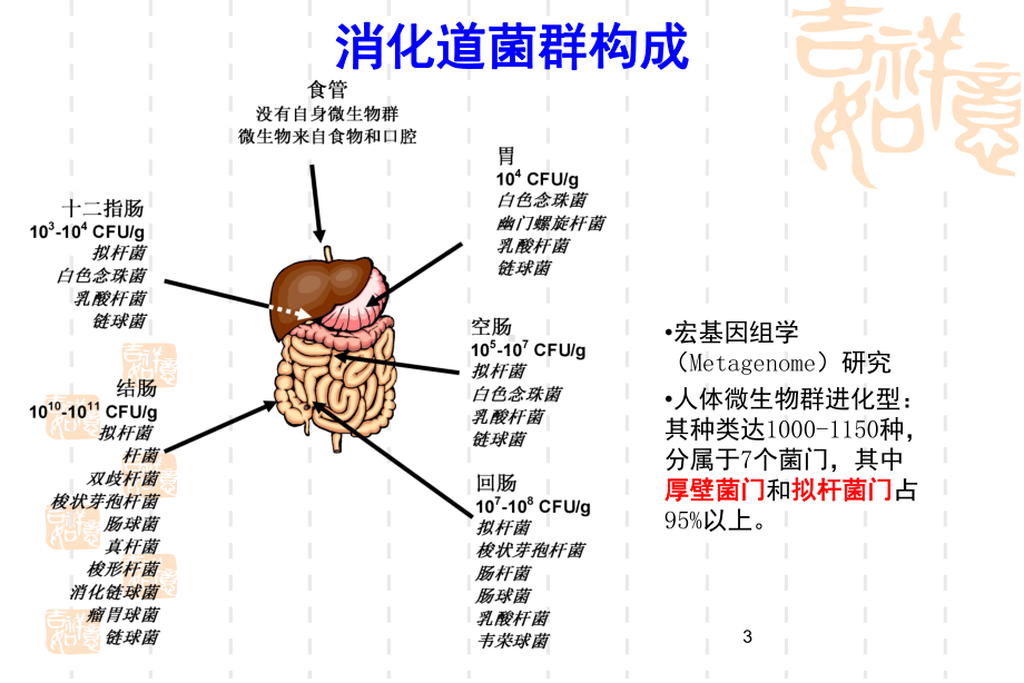 医学课件-护理讲课微生态学粪菌移植教学课件.ppt_第3页