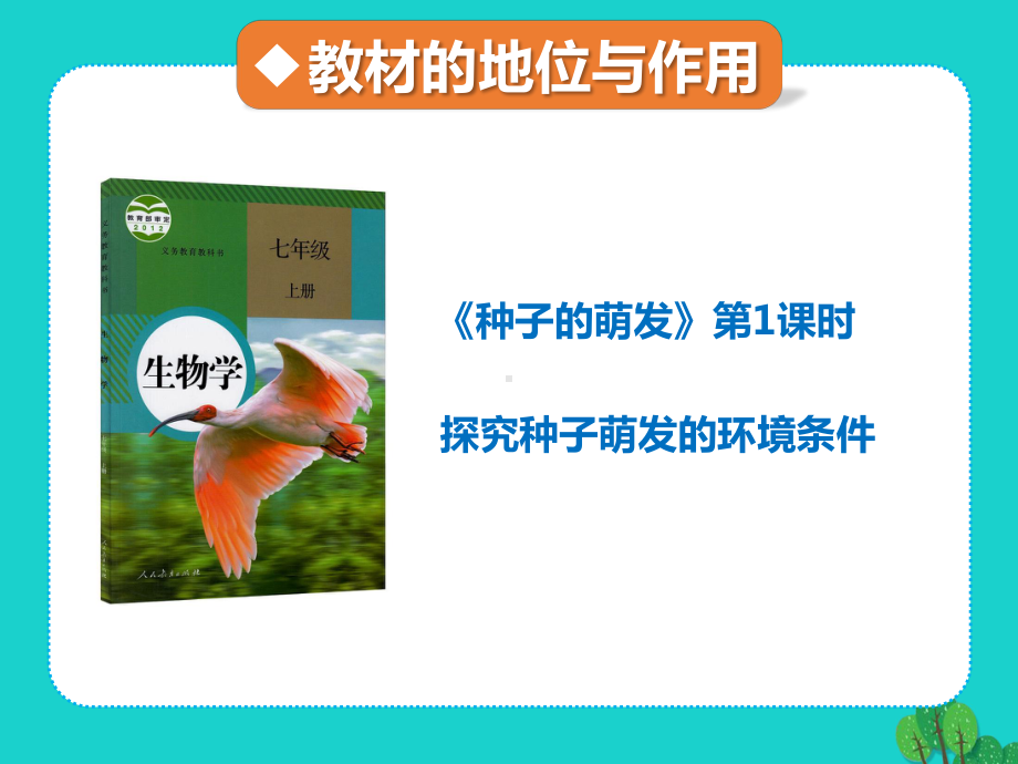 七年级生物上册321探究种子萌发的环境条件说课课件新人教版.ppt_第2页