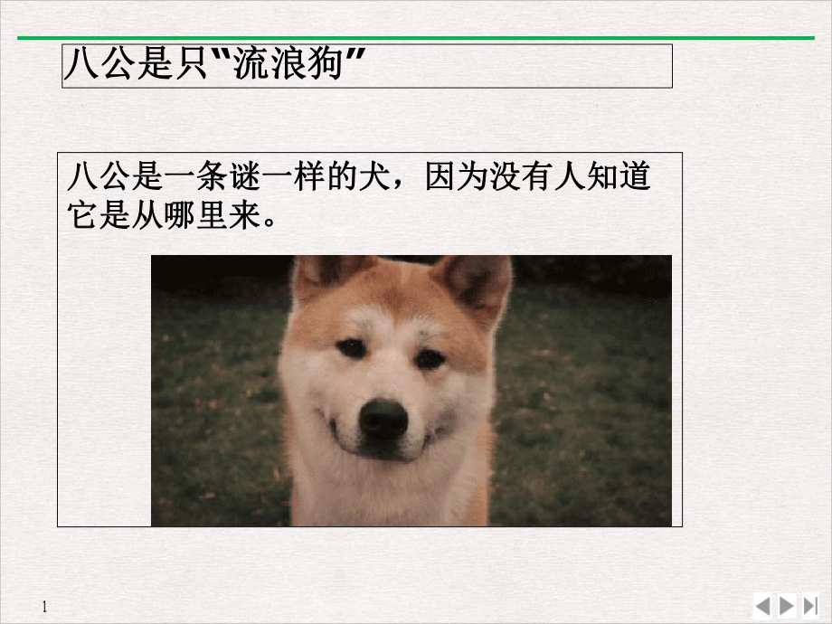 电影忠犬八公观后感(最新版)课件.ppt_第3页