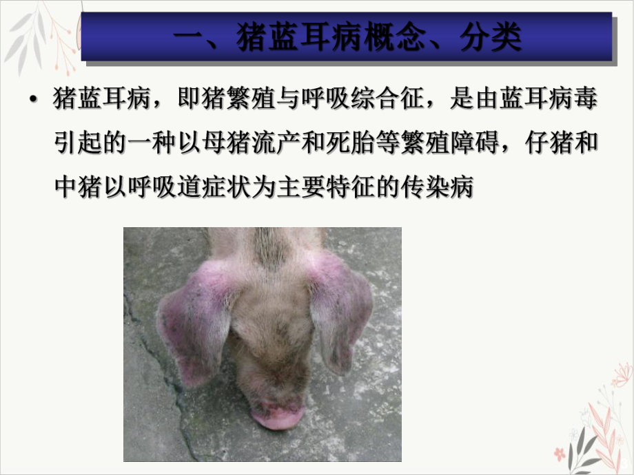 猪高致病性蓝耳病防治课件-.ppt_第3页