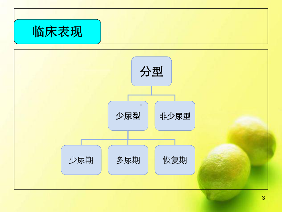 急性肾衰竭血液透析护理查房课件.ppt_第3页