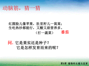 植物的生殖与发育课件.ppt