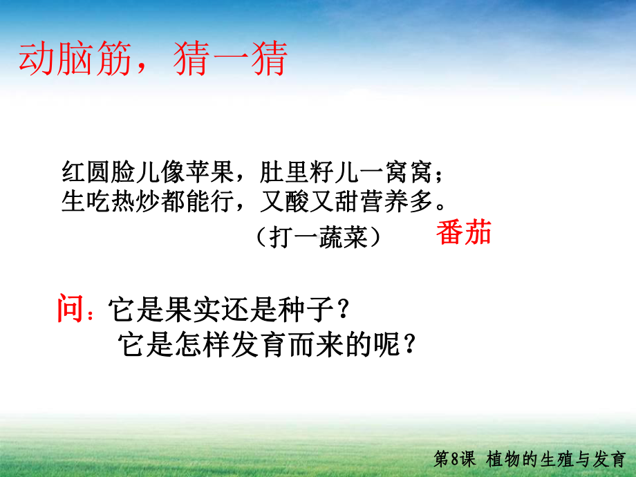 植物的生殖与发育课件.ppt_第1页