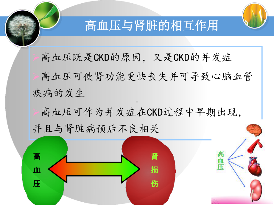 一例慢性肾衰伴高血压患者的病例分析课件.ppt_第3页