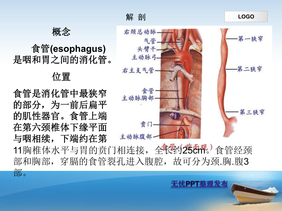 一例食道癌根治术护理查房课件.ppt_第3页