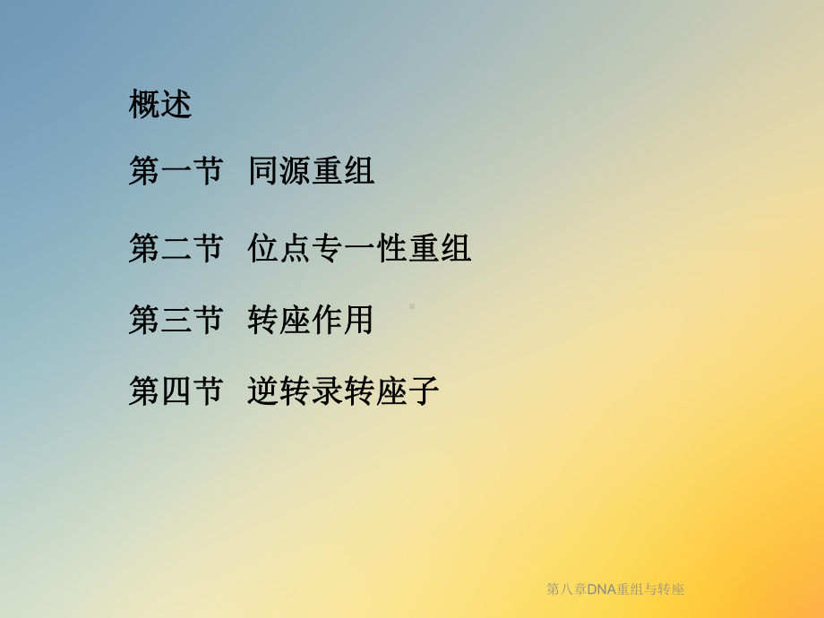 第八章DNA重组与转座课件.ppt_第2页