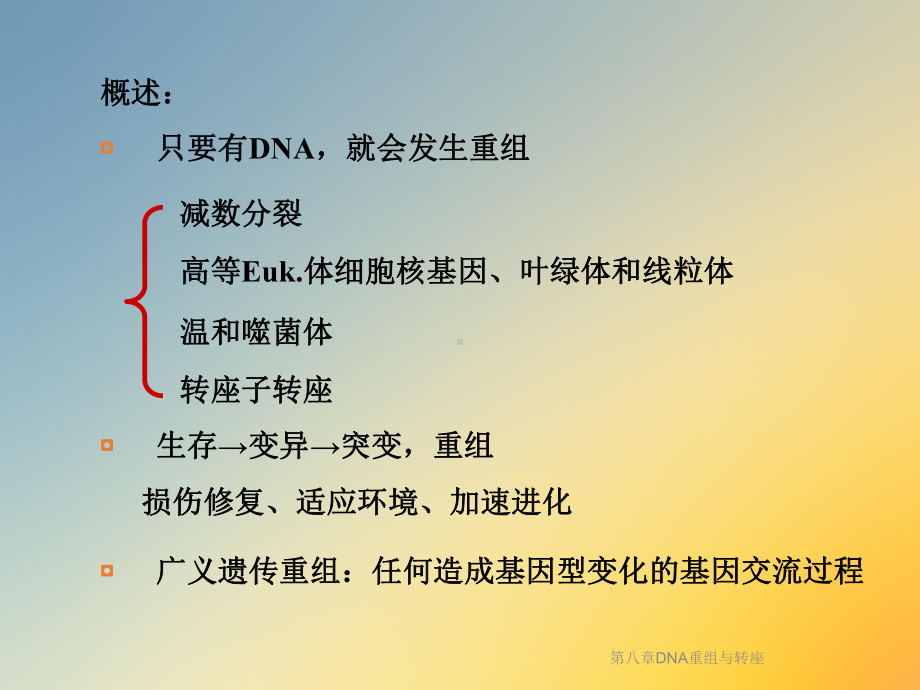 第八章DNA重组与转座课件.ppt_第3页