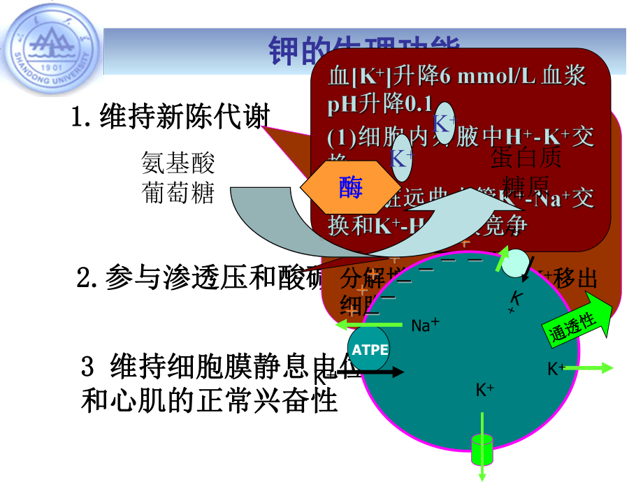 水电解质代谢紊乱下资料课件.ppt_第3页