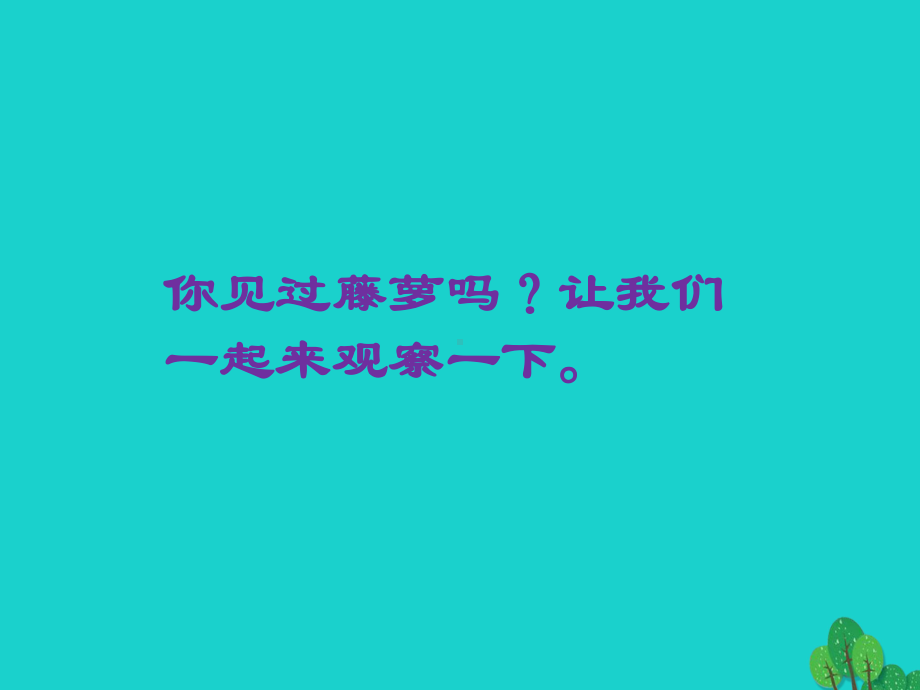 江苏省海安县大公镇初级中学八年级语文下册5《紫藤萝瀑布》课课件.ppt_第1页