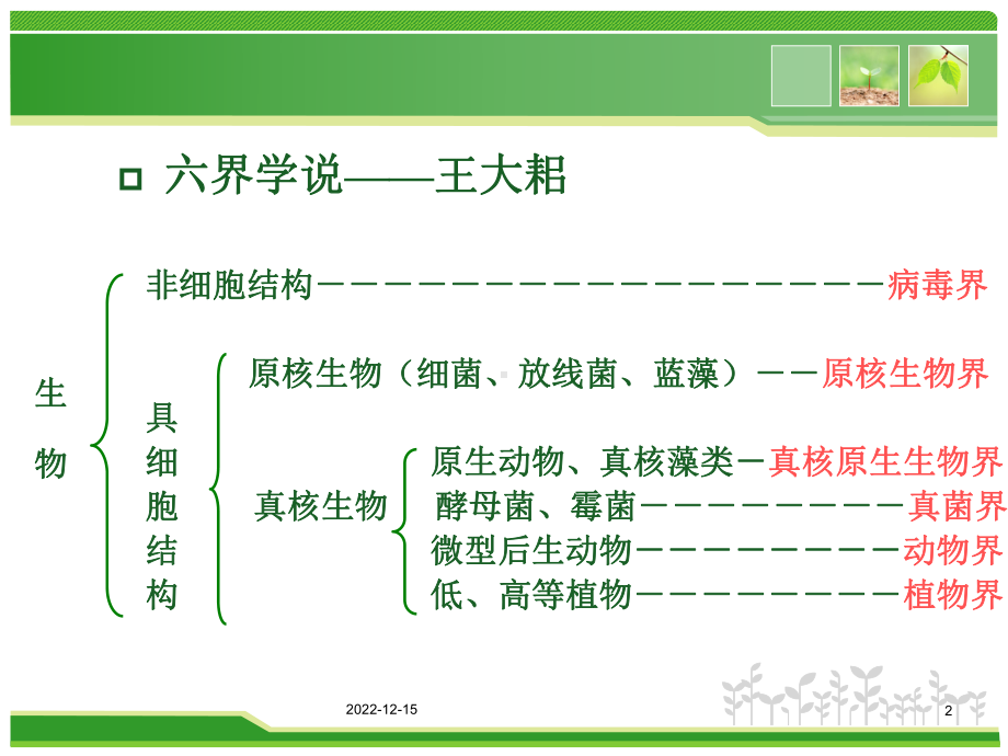 环境微生物-病毒课件.ppt_第2页