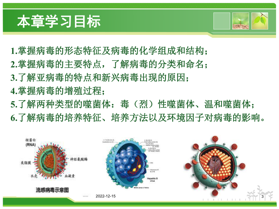 环境微生物-病毒课件.ppt_第3页