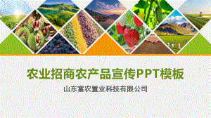 农业招商农场品宣传模板精美模板课件.pptx