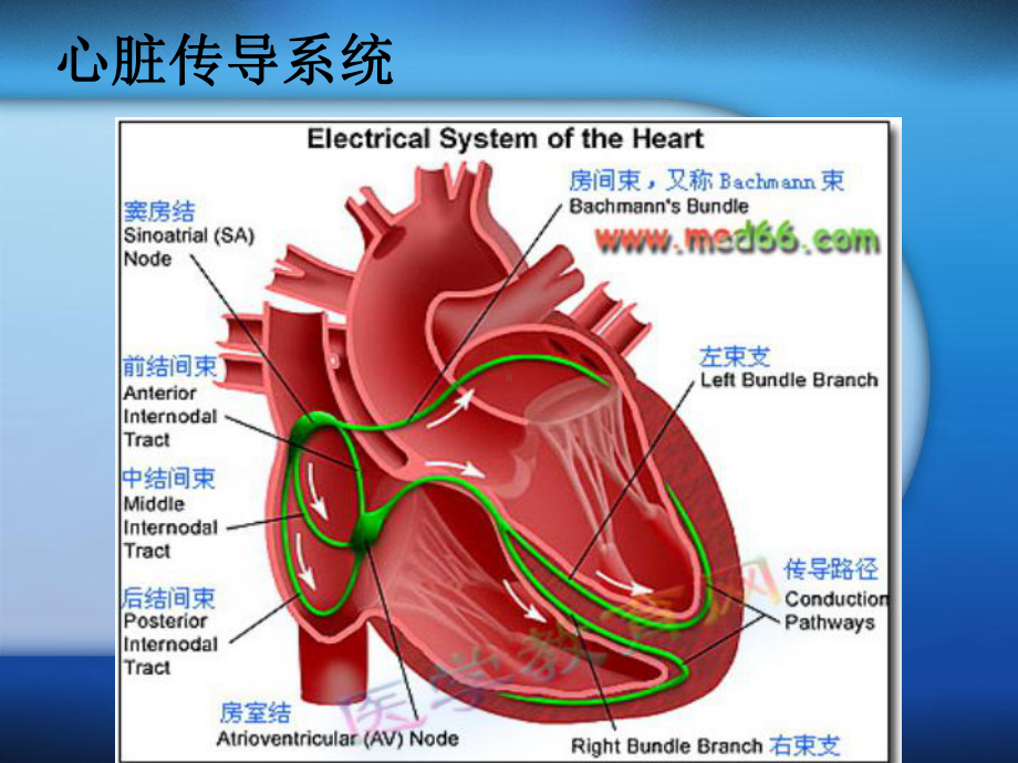 射频消融术及其护理复习课程课件.ppt_第2页