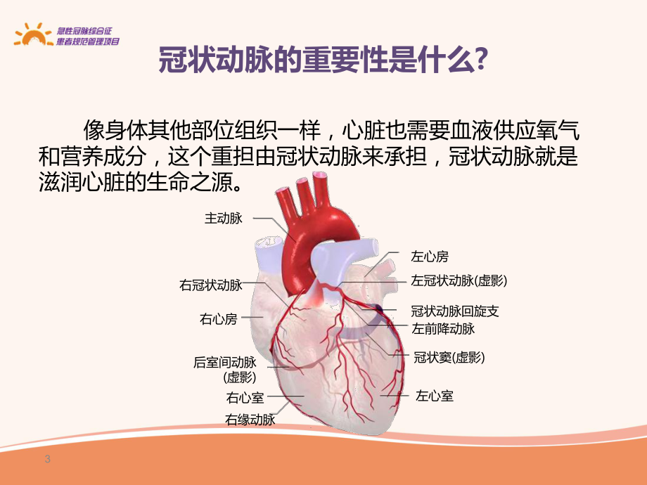 急性冠脉综合征疾病知识及生活防治措施课件.pptx_第3页