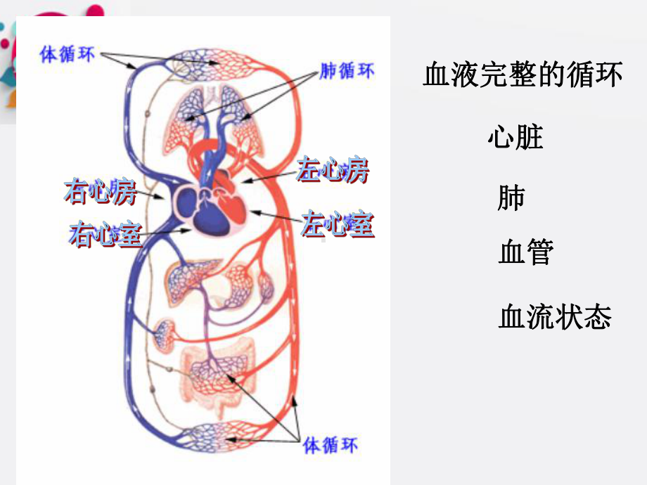 局部血液循环障碍课件11.ppt_第2页