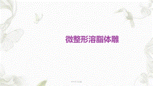 溶脂针-溶脂体雕课件.ppt