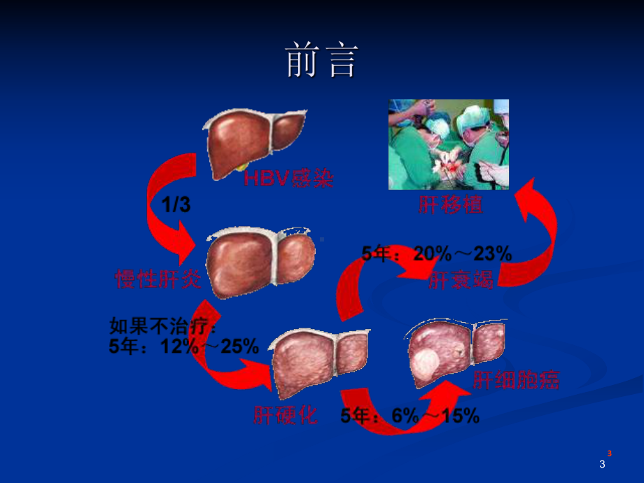 乙肝病毒母婴阻断教学课件.ppt_第3页