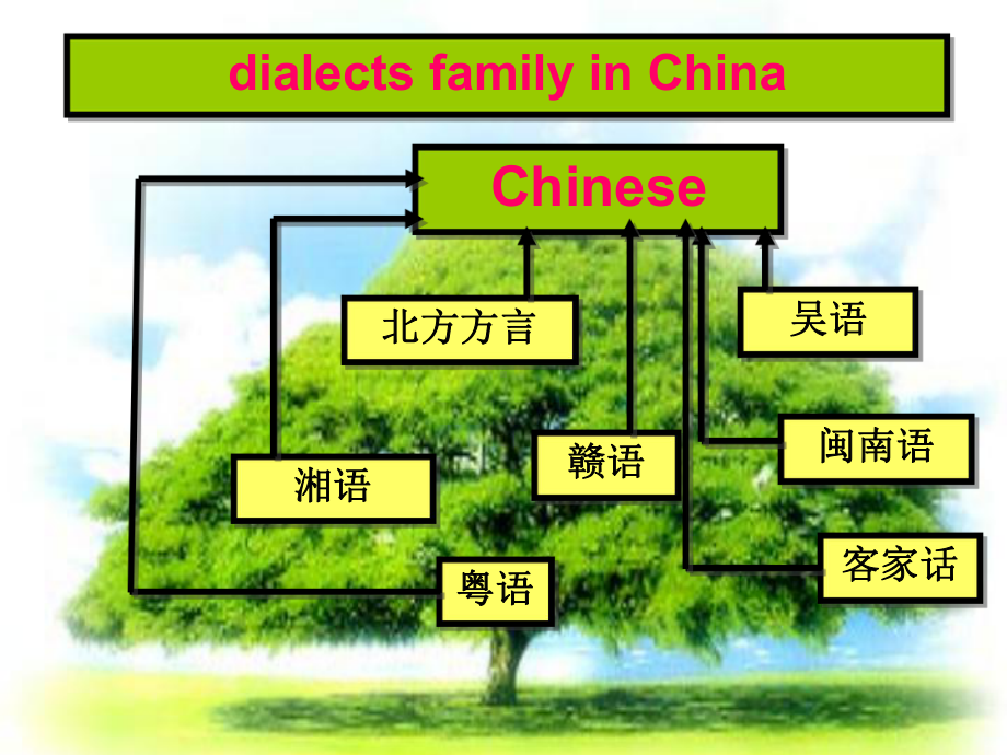 最新人教新课标高中英语必修1-教学课件Using-language.ppt_第3页