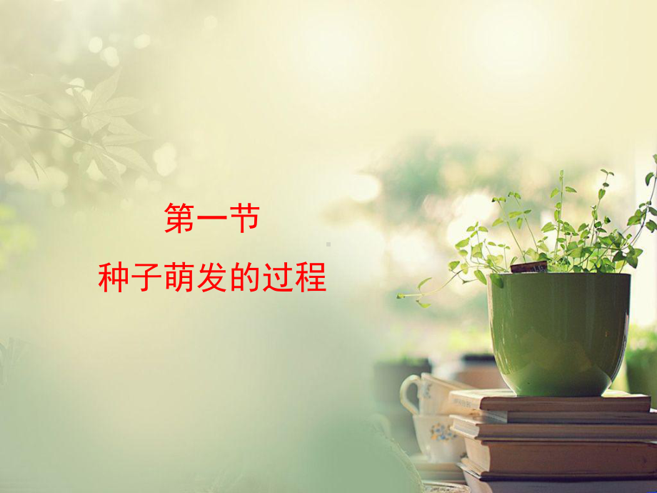 种子萌发的过程讲解学习课件.ppt_第1页