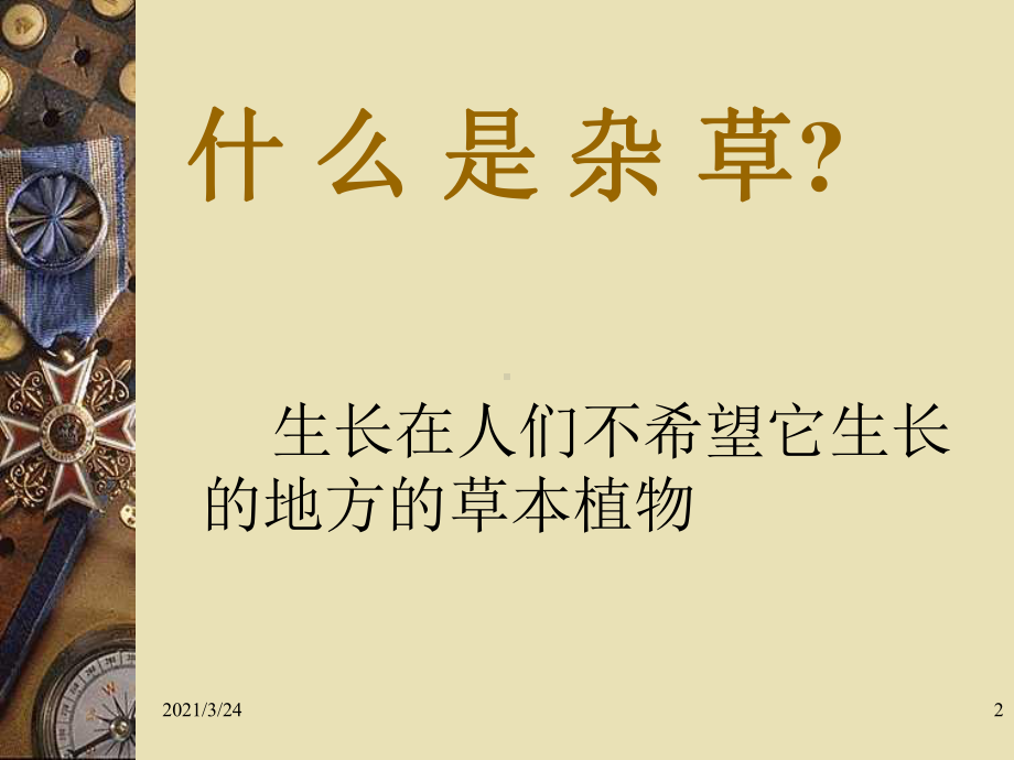 化学除草技术课件.ppt_第2页