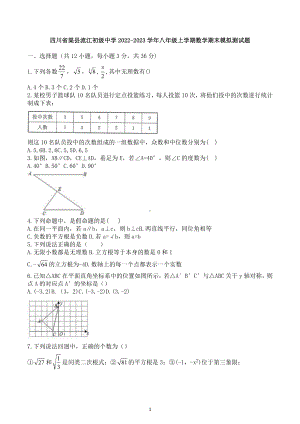 四川省渠县流江初级实验中学2022-2023学年八年级上学期数学期末模拟测试题.docx