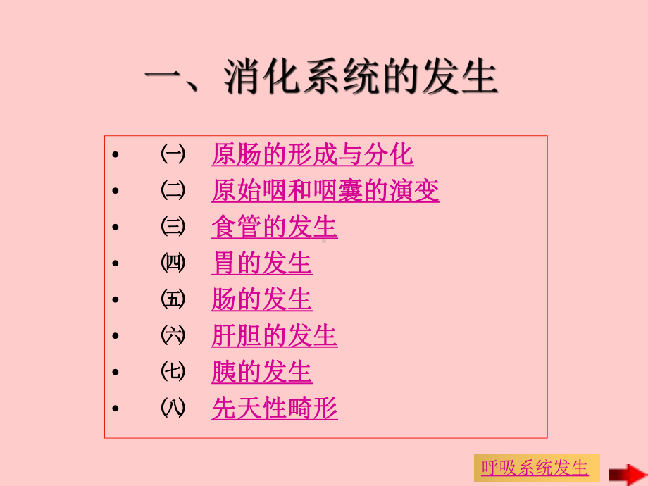 消化呼吸系统的发生课件.ppt_第1页