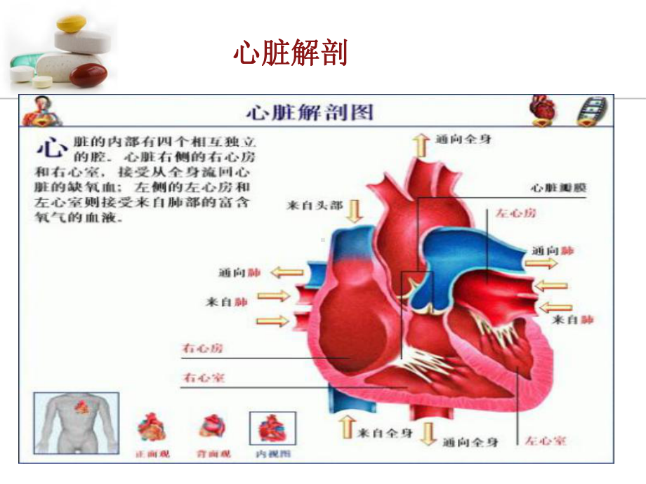 急性左心衰-1-课件.ppt_第3页