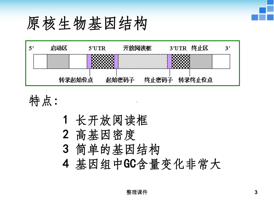 实验三基因组序列分析课件1.ppt_第3页