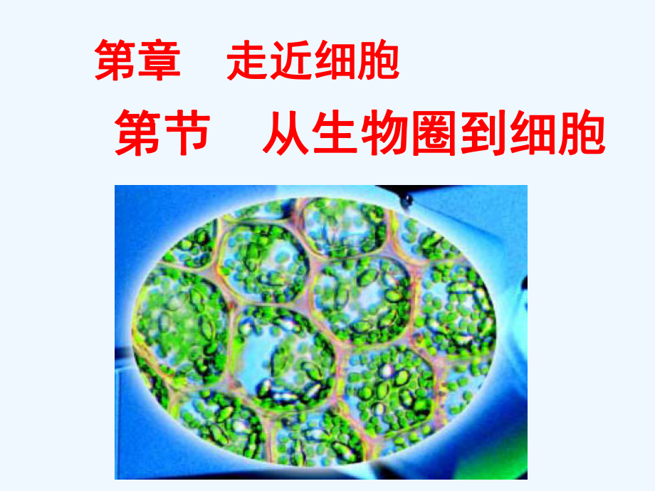 某中学高中生物11从生物圈到细胞第1课时课件新人教版必修1.pptx_第1页