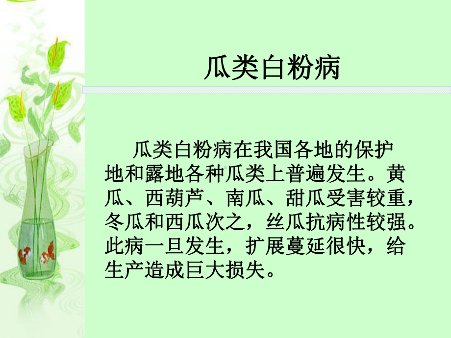 瓜类白粉病-农业植物病理学-课件.ppt_第1页