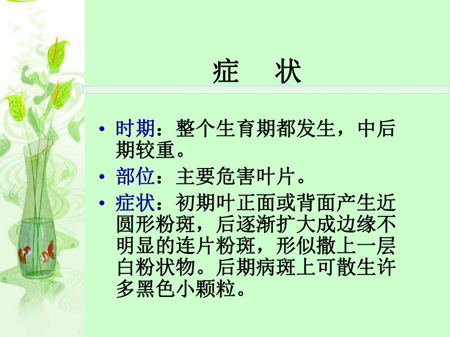 瓜类白粉病-农业植物病理学-课件.ppt_第2页