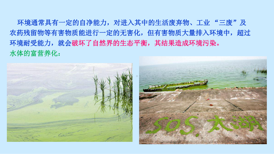 微生物与环境保护课件.ppt_第3页