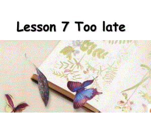 新概念英语第二册第7课-Lesson7-Too-late课件.ppt（纯ppt,可能不含音视频素材）