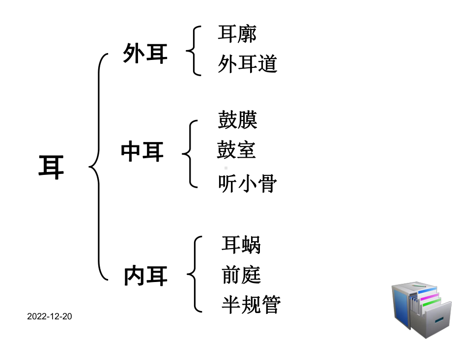 北师大版生物七年级下册12章2节感受器和感觉器官三课时课件.ppt_第3页