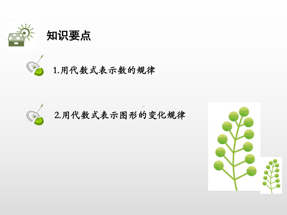 19年秋北师大版七年级数学上册讲解课件：3.5探索与表达规律(共16张PPT).pptx_第2页