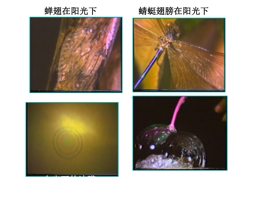 第十九章-光的干涉课件.ppt_第3页