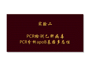 分子医学技能课件-分子医学技能-实验二.pptx