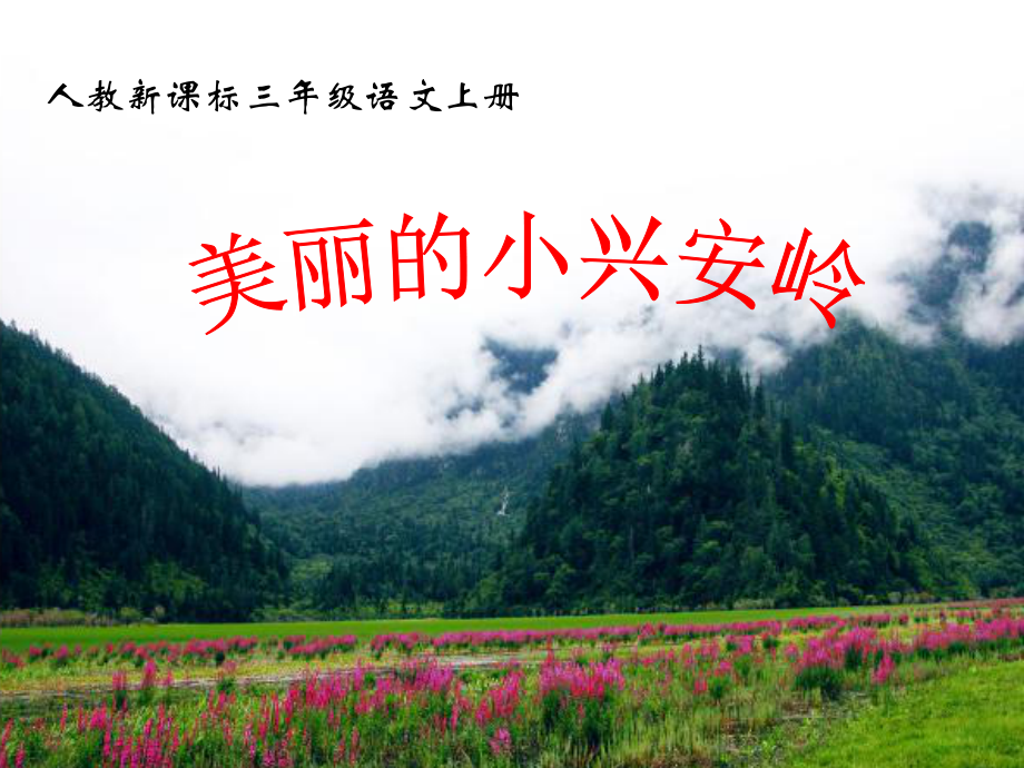 美丽的小兴安岭课件讲义02.ppt_第2页