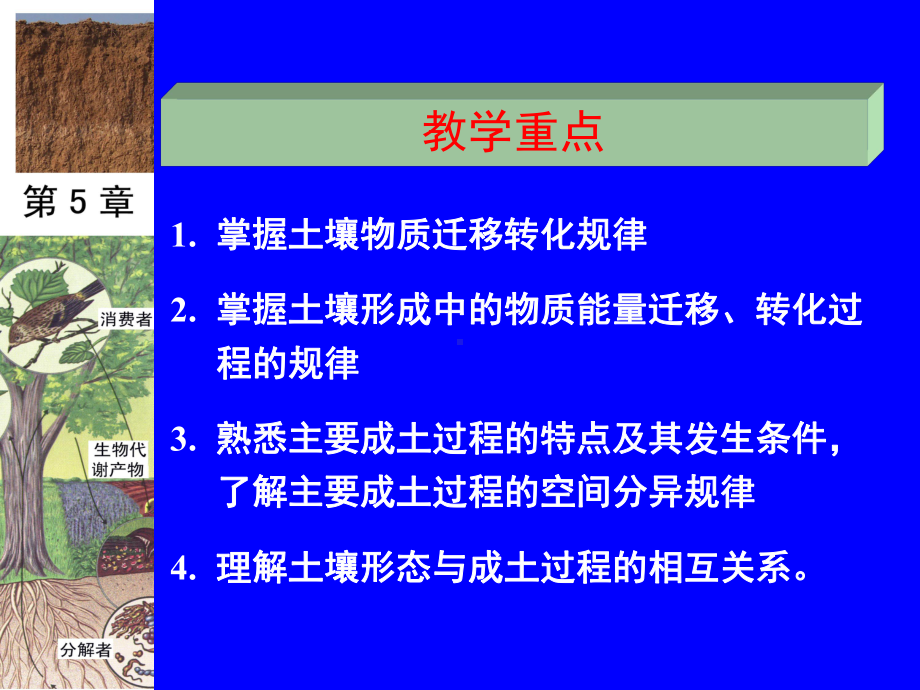 土壤形成过程课件.ppt_第2页