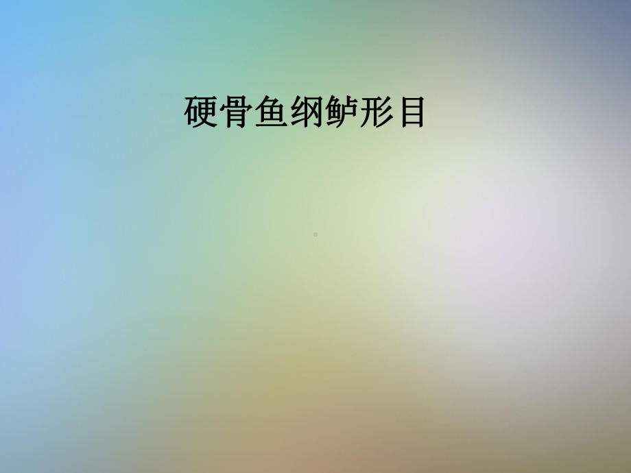 硬骨鱼纲鲈形目课件.pptx_第1页