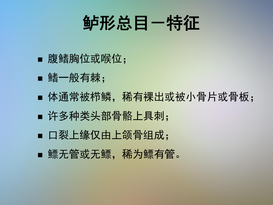 硬骨鱼纲鲈形目课件.pptx_第2页