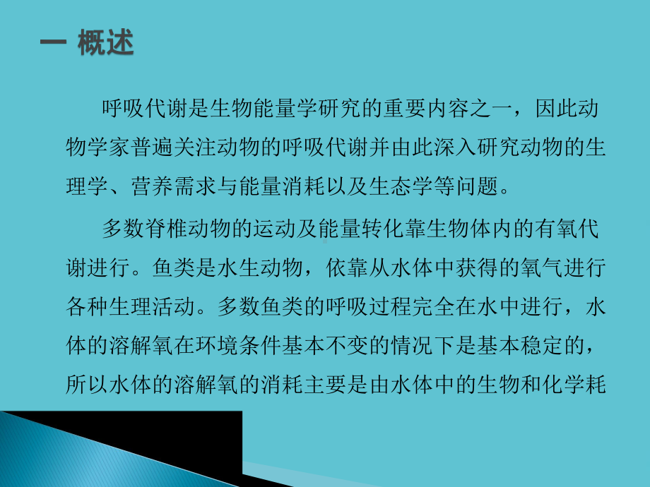 授课用鱼类呼吸测量系统资料课件.pptx_第3页