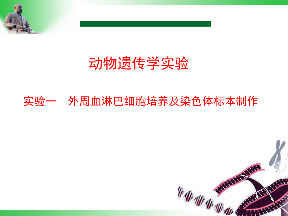 动物遗传学实验课件.ppt_第1页