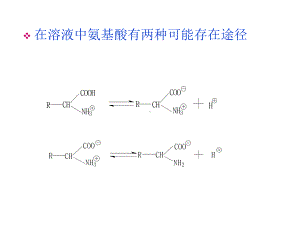 第二四节氨基酸的离解性质合成及应用课件.ppt