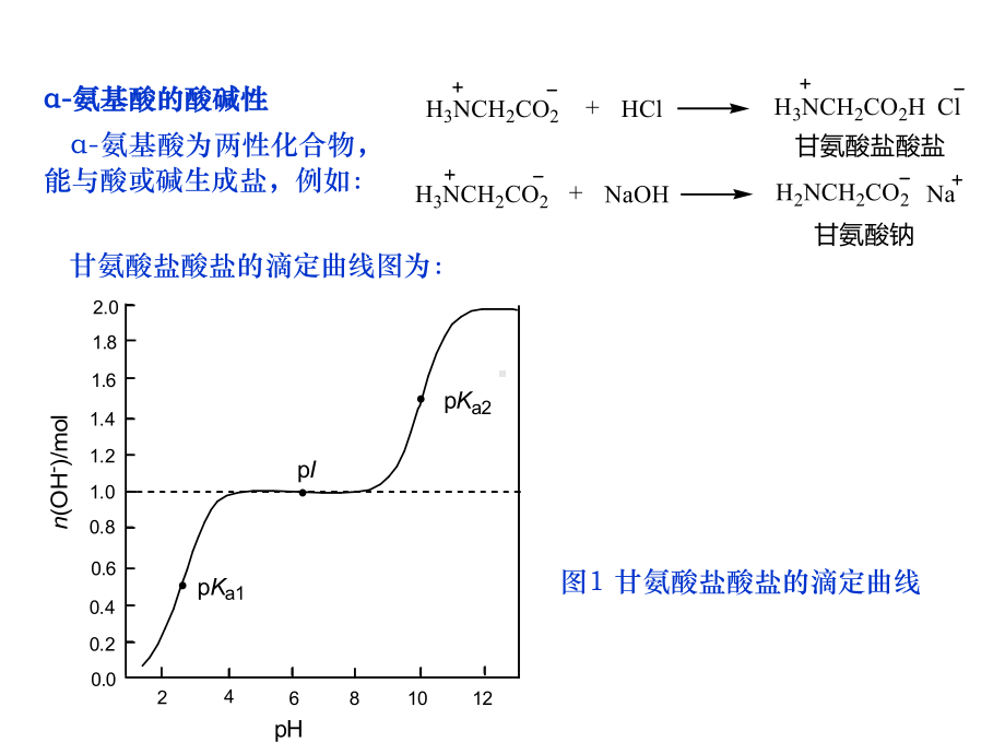 第二四节氨基酸的离解性质合成及应用课件.ppt_第3页