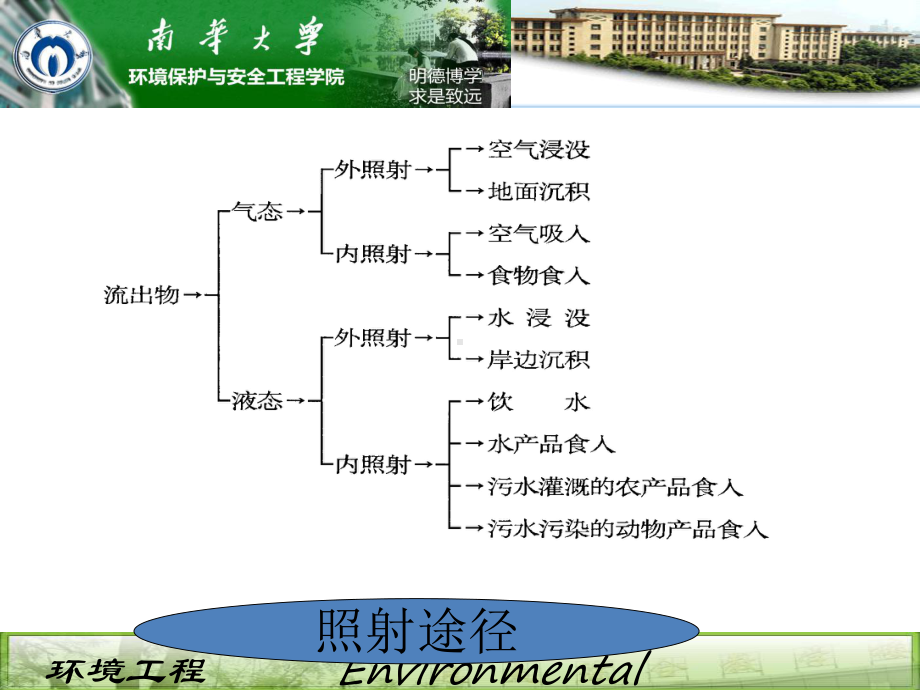 第七章-内照射的防护课件.ppt_第3页