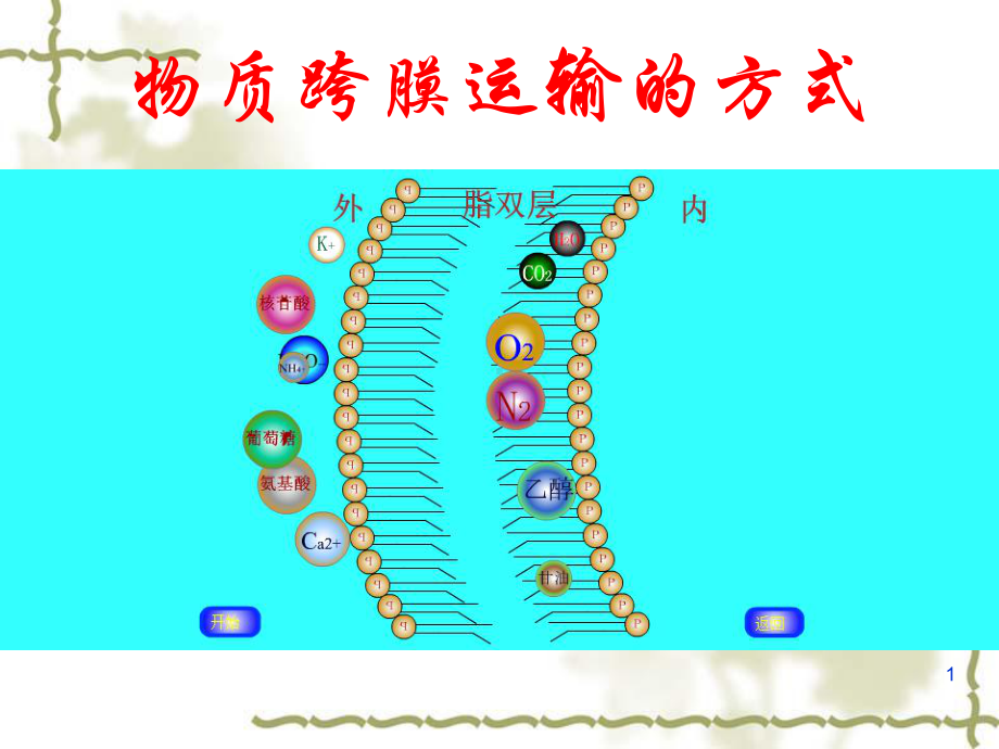 物质跨膜运输的方式参考课件.ppt_第1页